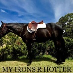 MY IRONS ARE HOTTER - Colt (Owner Breakoday Quarter Horses)